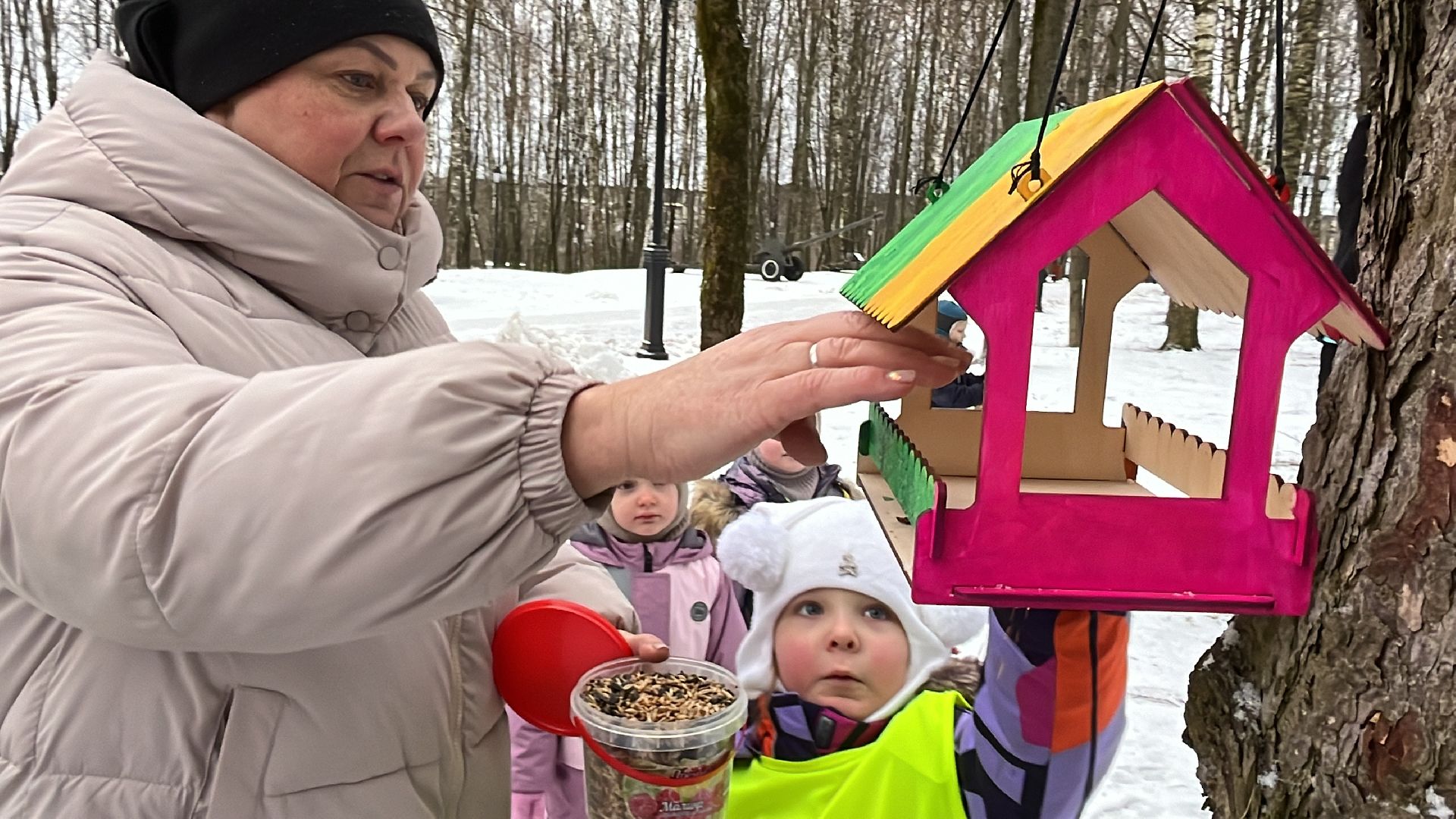 вертикалки, наро-фоминск, наро-фоминский городской округ, покорми птиц зимой, экологическая акция,вертикалка,