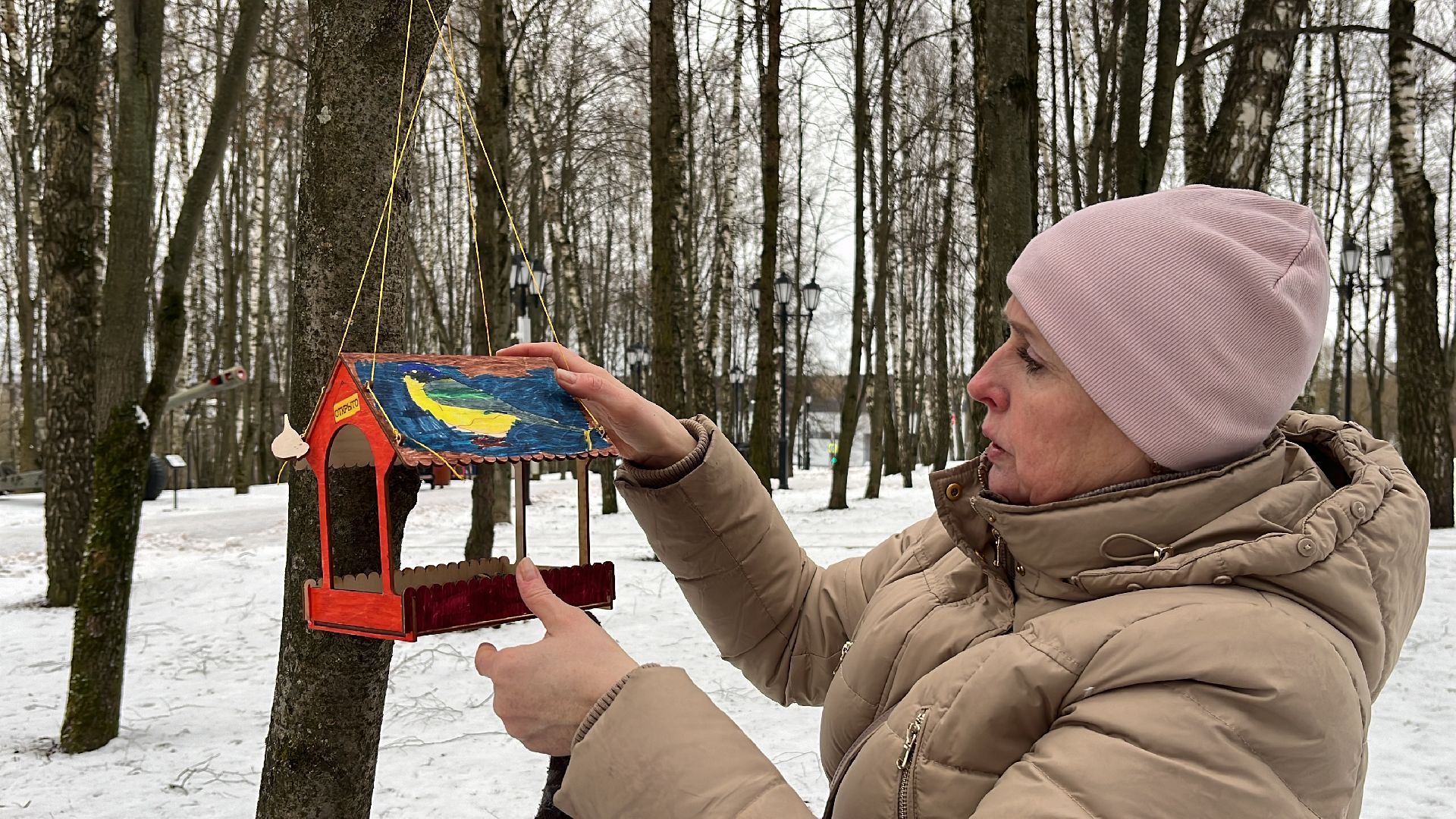 вертикалки, наро-фоминск, наро-фоминский городской округ, покорми птиц зимой, экологическая акция,вертикалка,