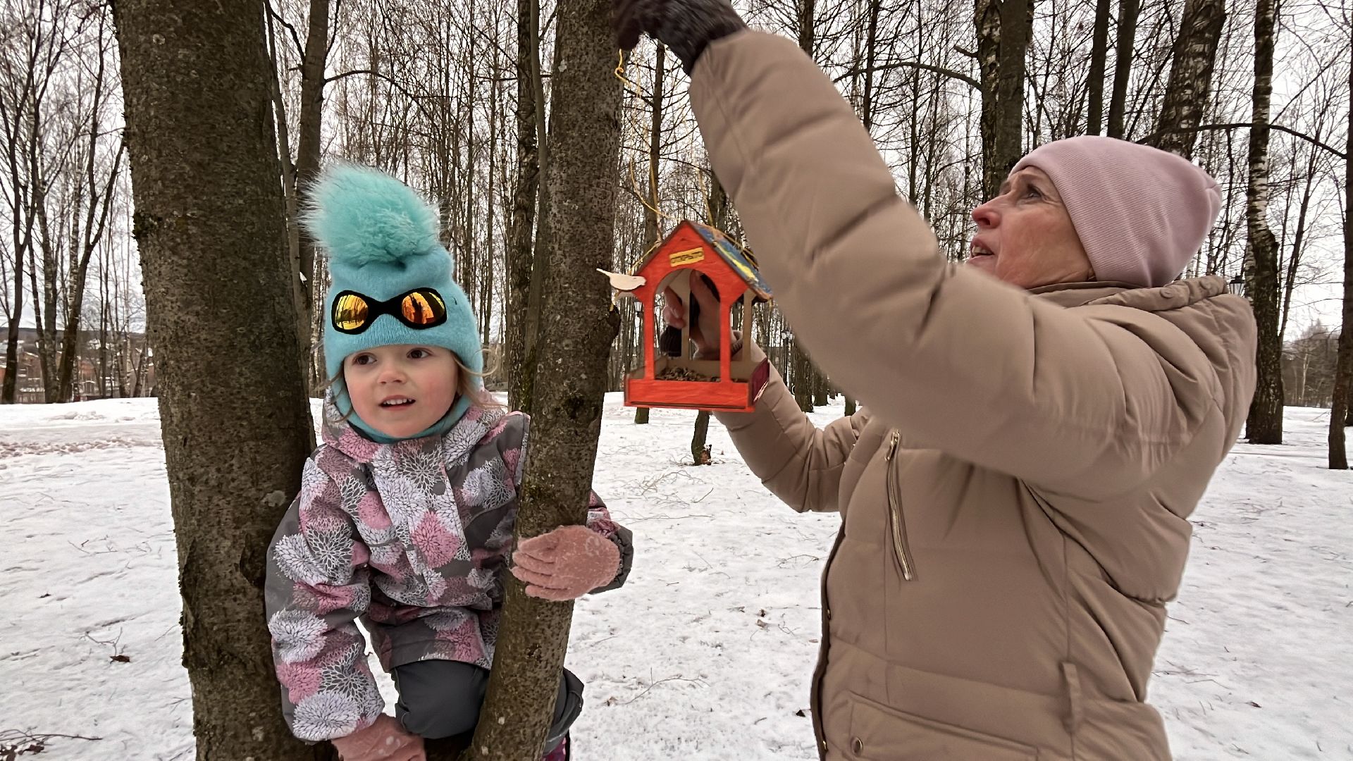 вертикалки, наро-фоминск, наро-фоминский городской округ, покорми птиц зимой, экологическая акция,вертикалка,