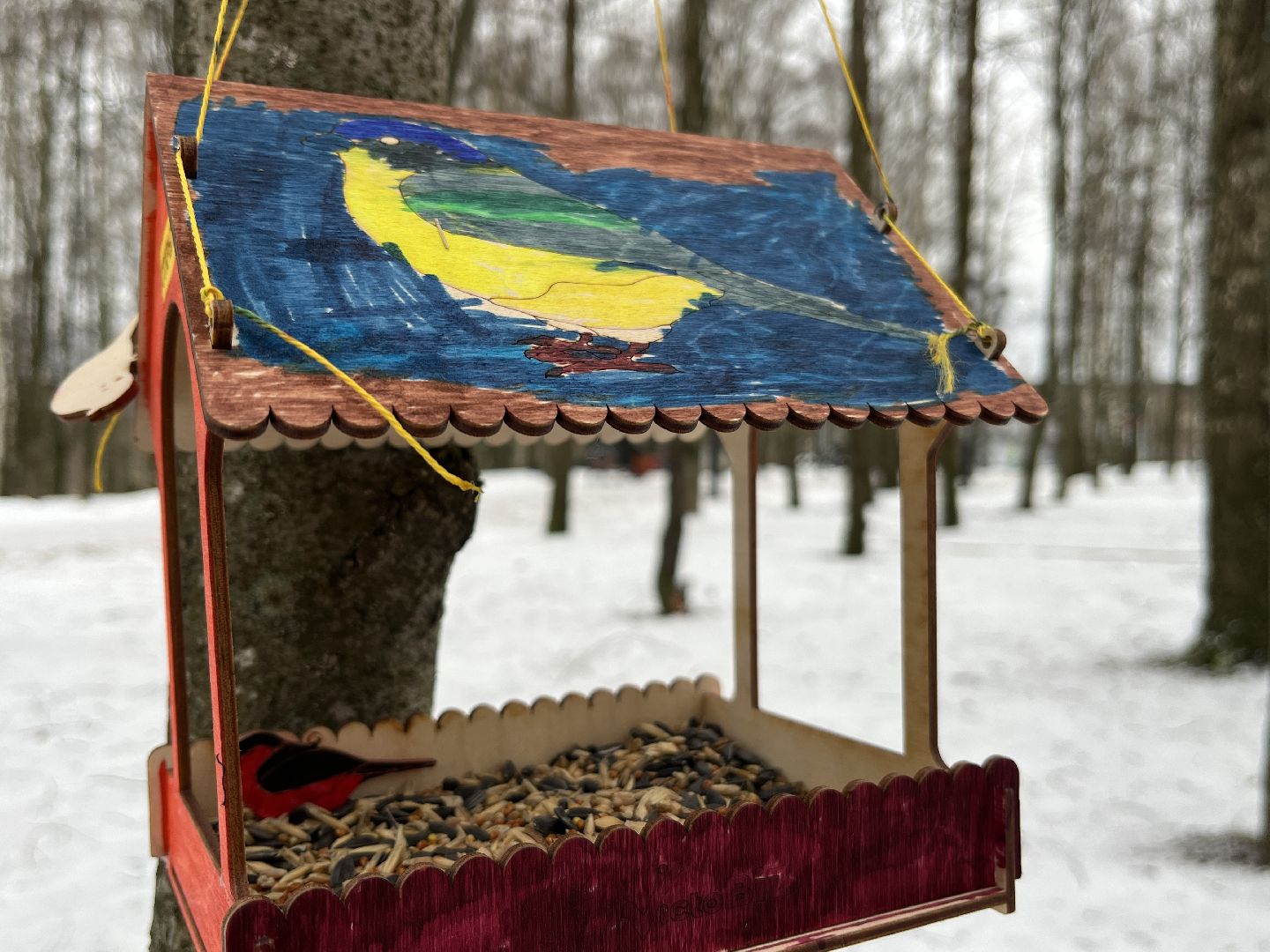 вертикалки, наро-фоминск, наро-фоминский городской округ, покорми птиц зимой, экологическая акция,вертикалка,