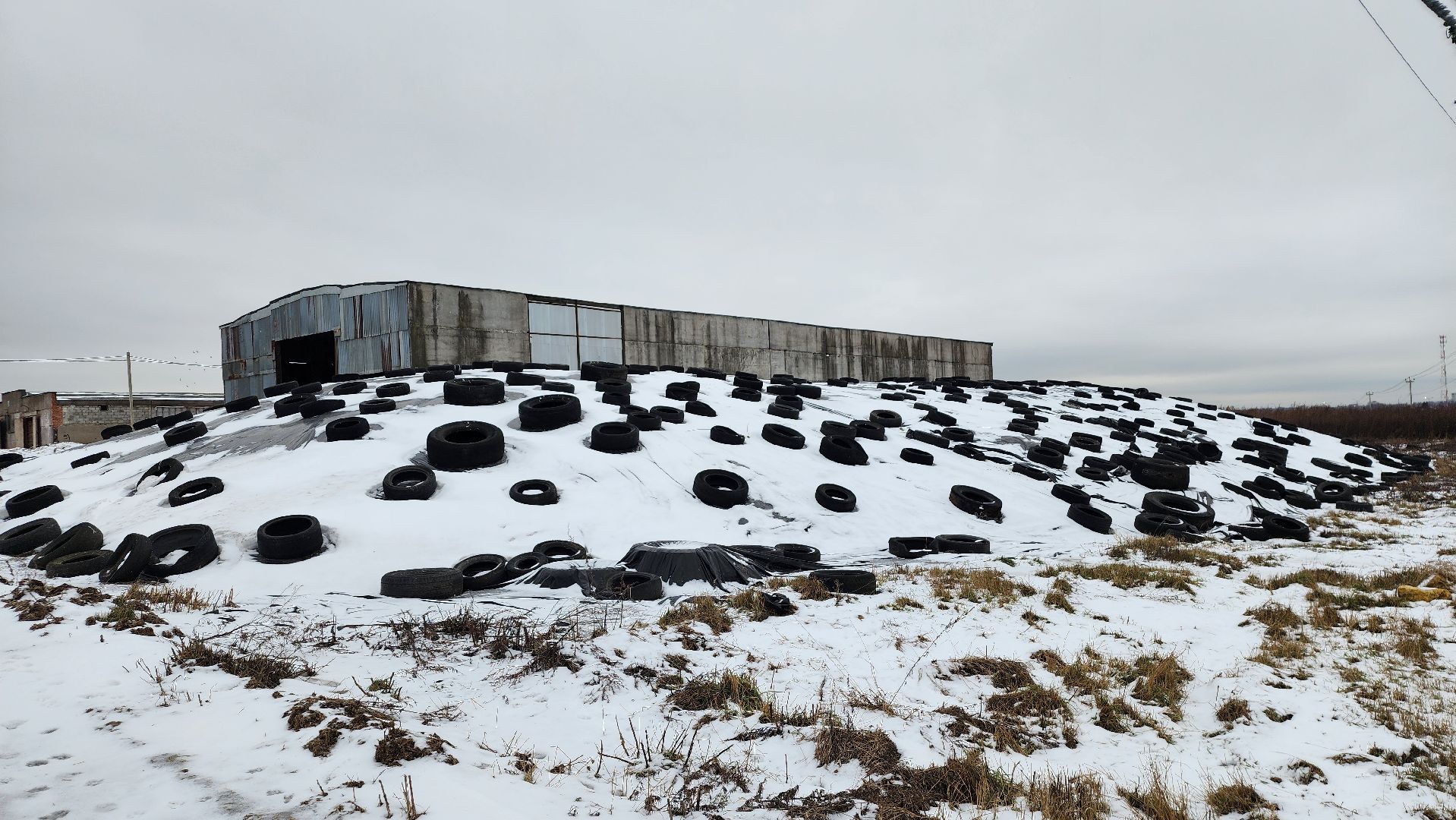заготовка кормов, сельское хозяйство, АО Ногинское, рабочий поселок Обухово, Богородский городской округ,