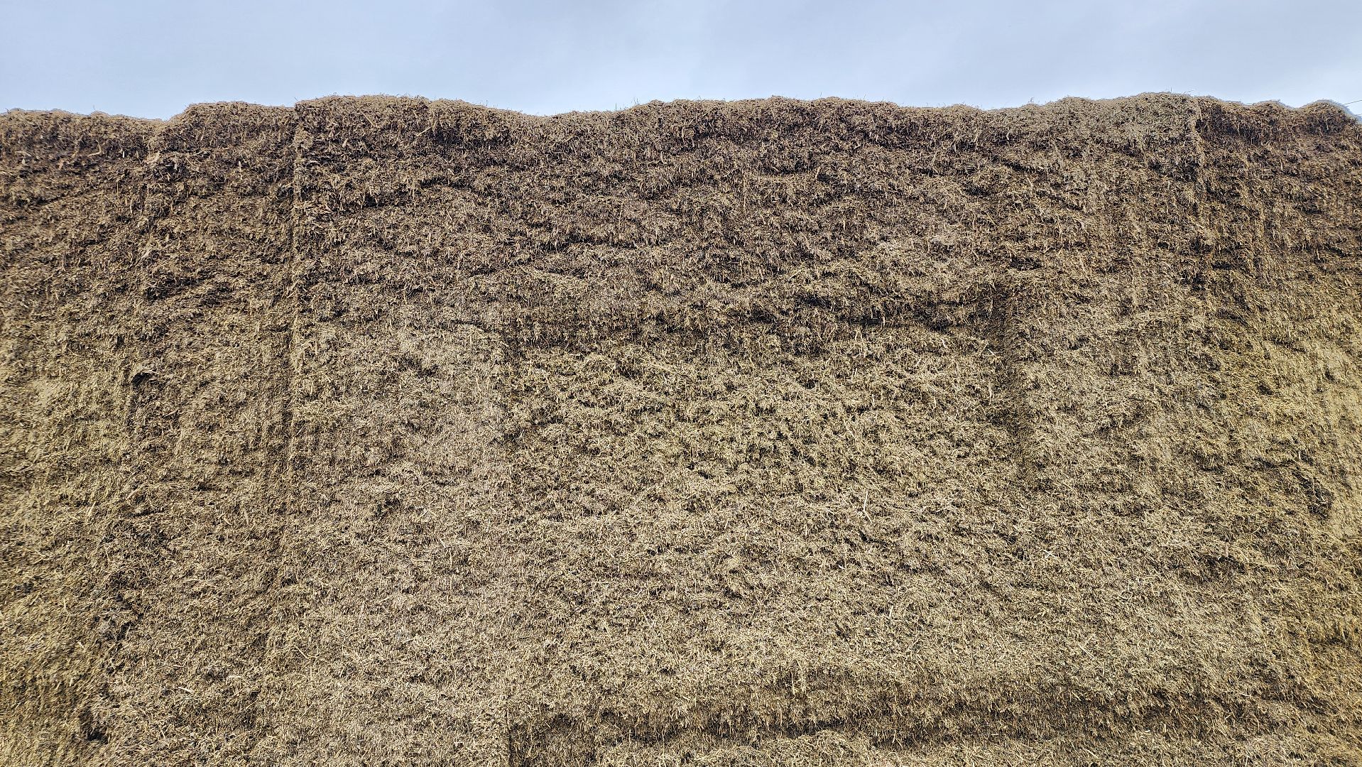 заготовка кормов, сельское хозяйство, АО Ногинское, рабочий поселок Обухово, Богородский городской округ,