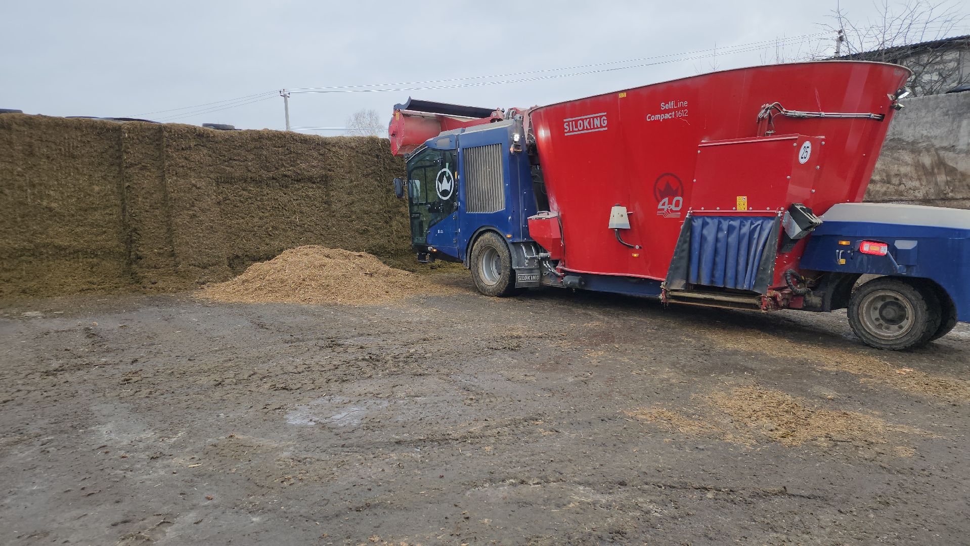 заготовка кормов, сельское хозяйство, АО Ногинское, рабочий поселок Обухово, Богородский городской округ,