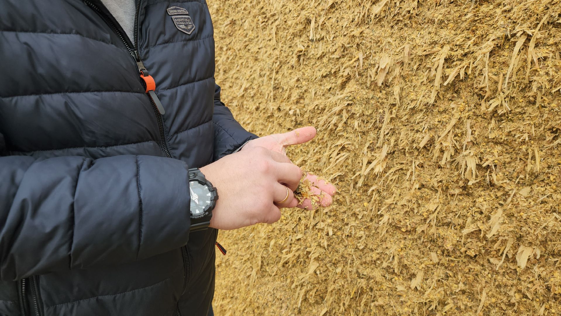 заготовка кормов, сельское хозяйство, АО Ногинское, рабочий поселок Обухово, Богородский городской округ,