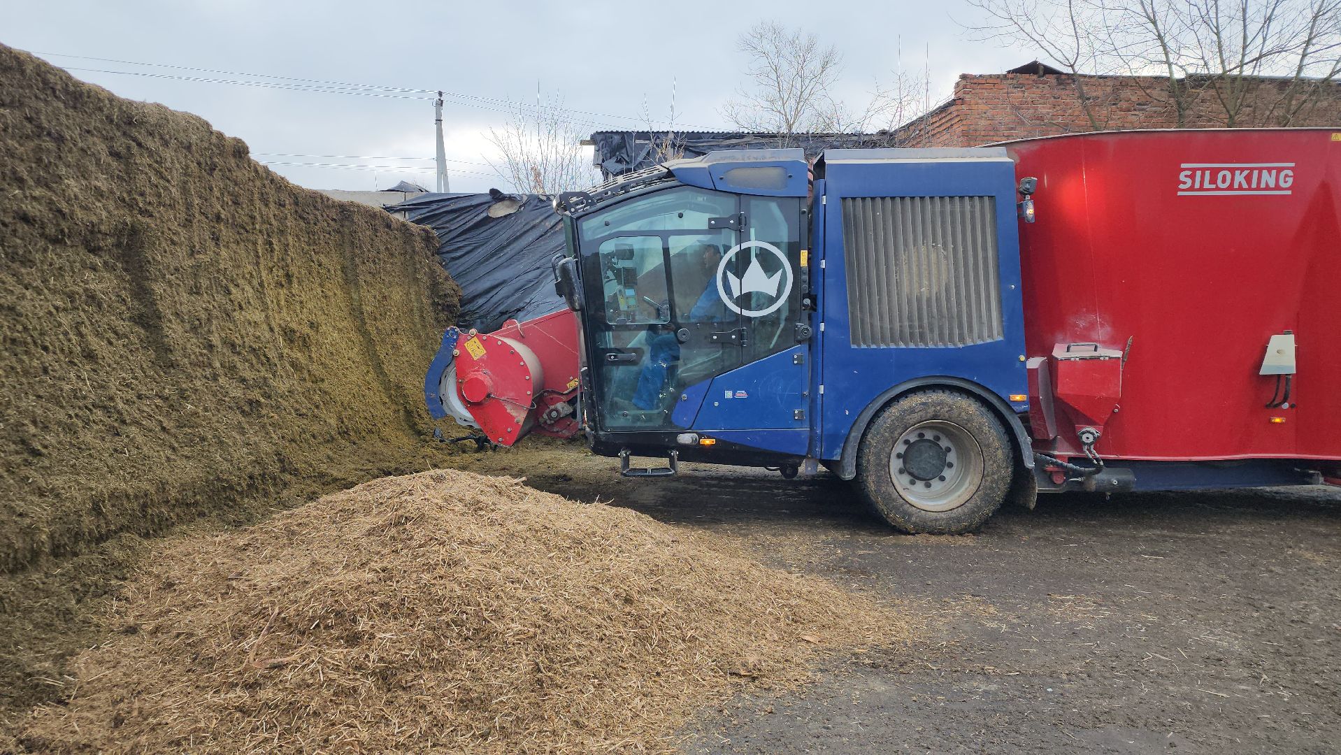 заготовка кормов, сельское хозяйство, АО Ногинское, рабочий поселок Обухово, Богородский городской округ,