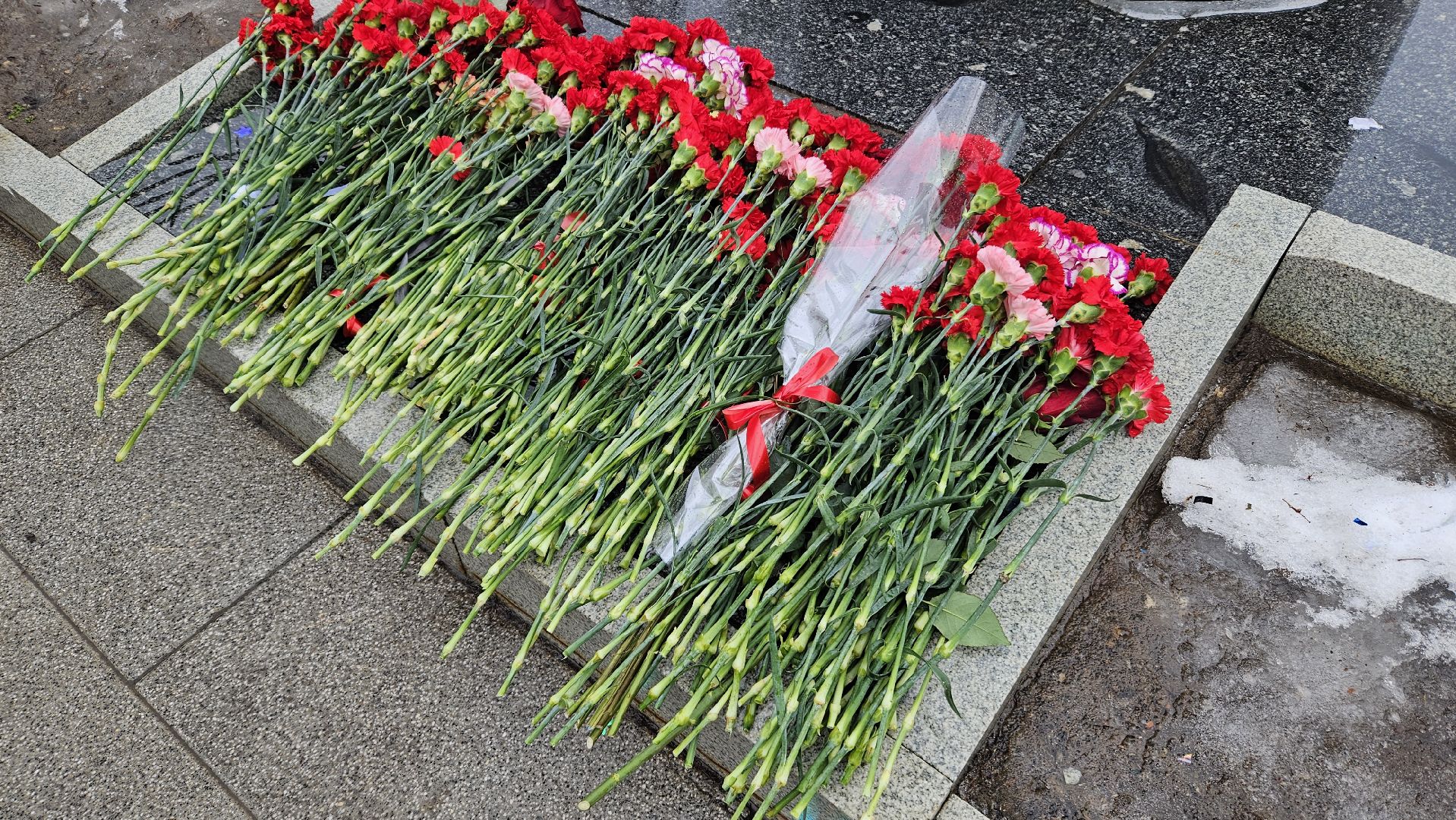 жуковский, митинг,