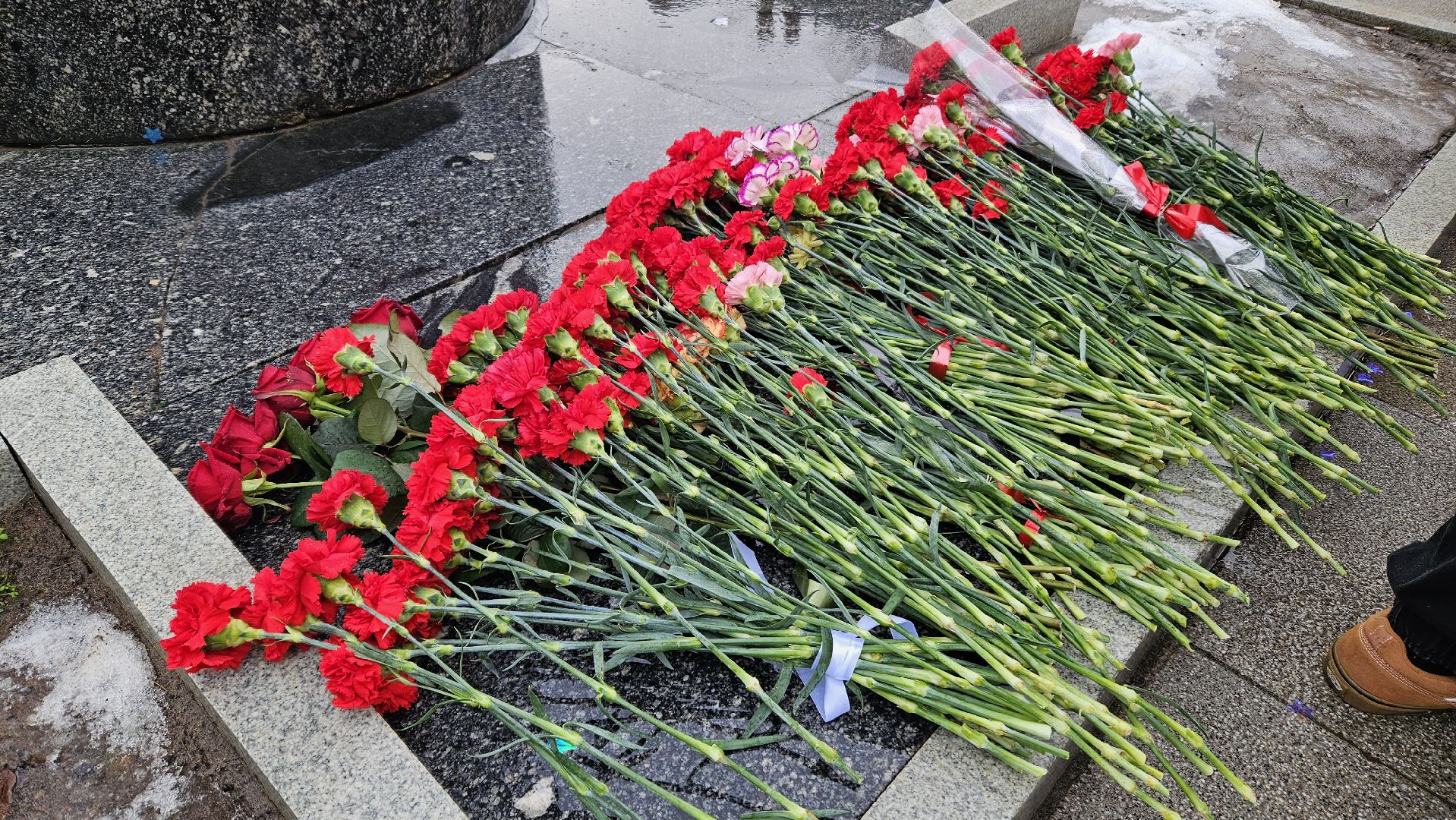 жуковский, митинг,