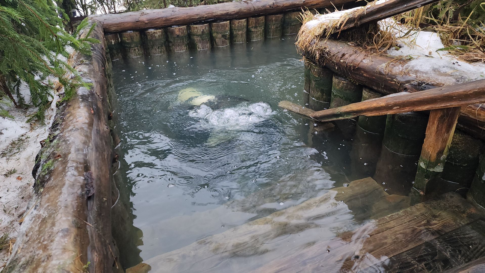 Купели, Дайверы, Мособлпожспас, МЧС, крещенские купания, Руза, Рузский округ, вертикалки,