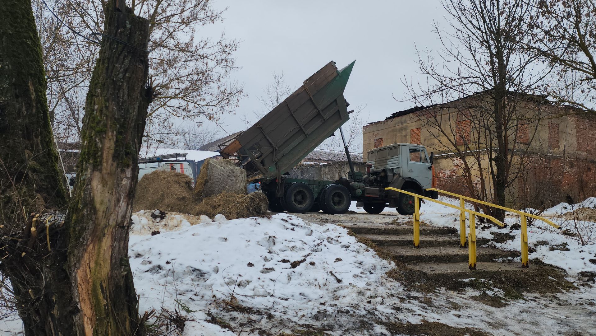 Купели, Дайверы, Мособлпожспас, МЧС, крещенские купания, Руза, Рузский округ, вертикалки,
