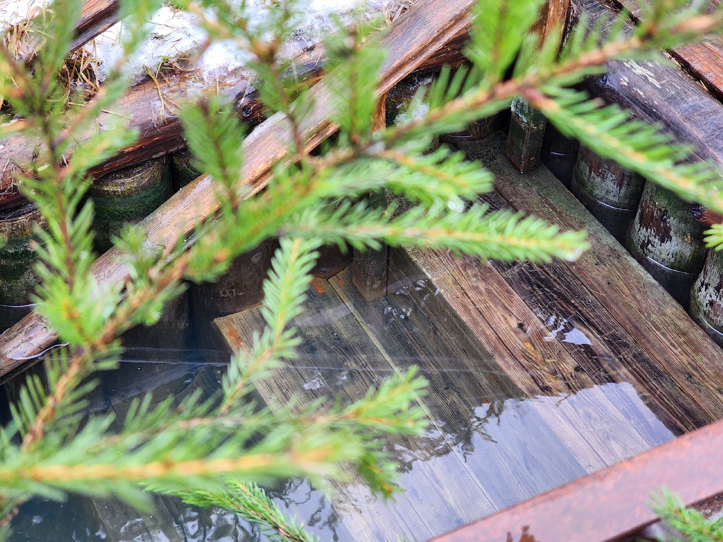 Купели, Дайверы, Мособлпожспас, МЧС, крещенские купания, Руза, Рузский округ, вертикалки,