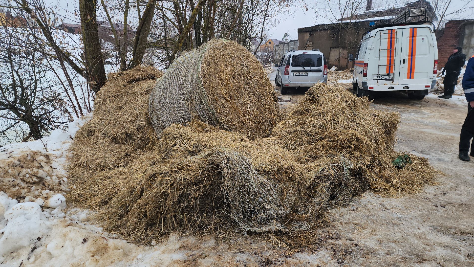 Купели, Дайверы, Мособлпожспас, МЧС, крещенские купания, Руза, Рузский округ, вертикалки,