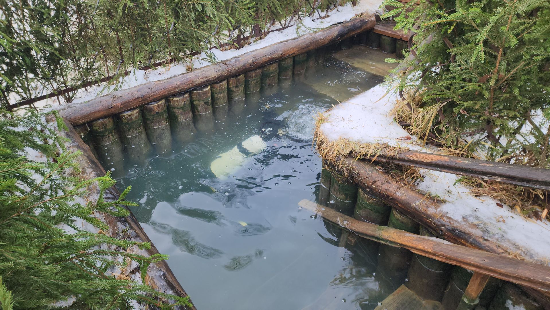 Купели, Дайверы, Мособлпожспас, МЧС, крещенские купания, Руза, Рузский округ, вертикалки,