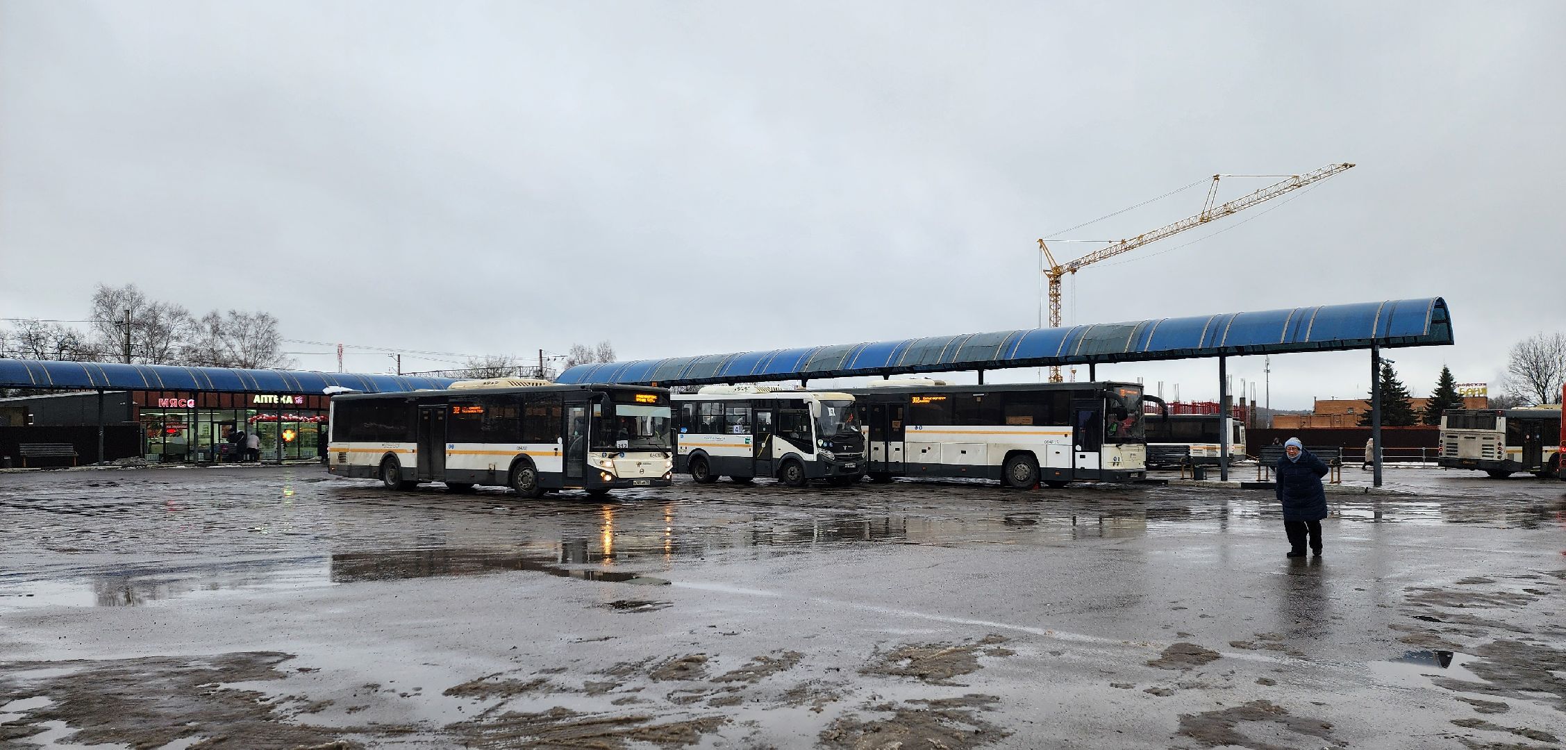 солнечногорск, вертикалки, автобусы, мострансавто, крещение,