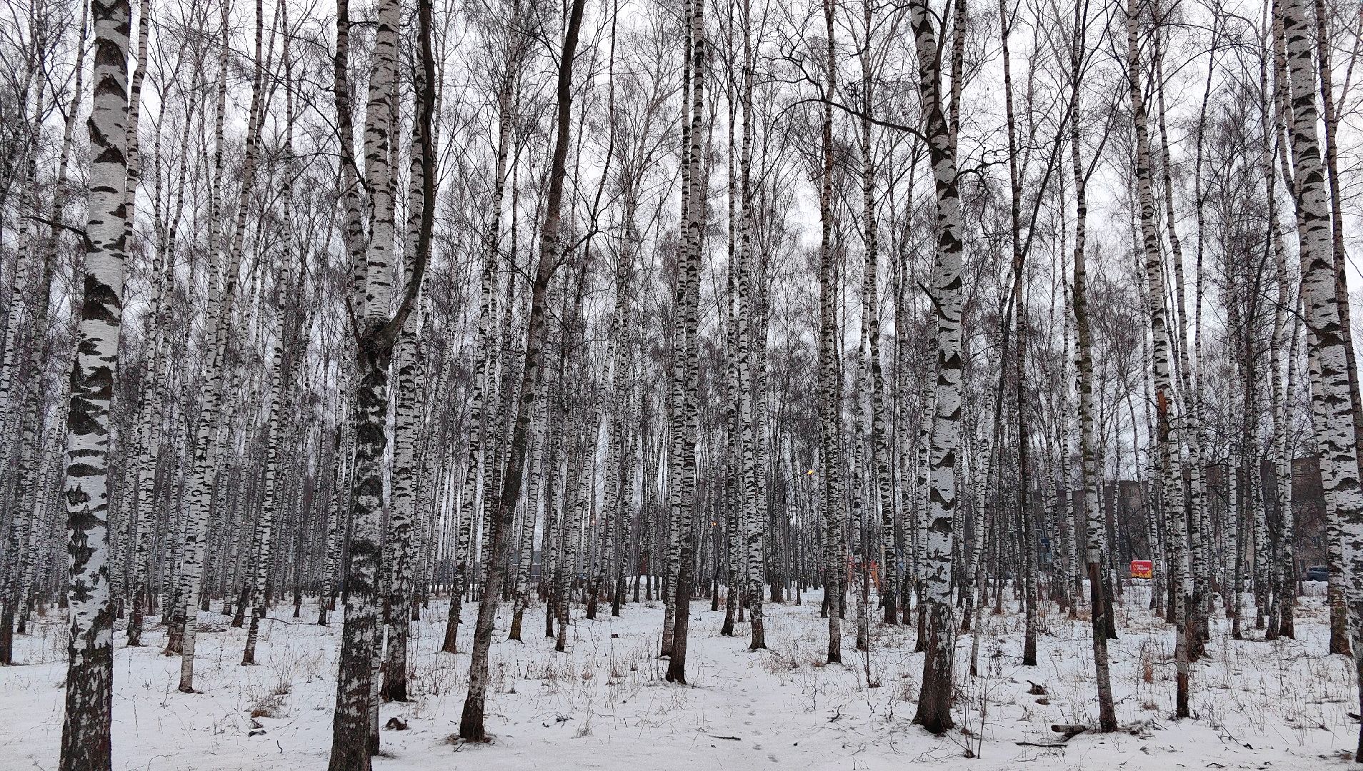 выездная администиация, жкх, благоустройство, снег, тротуар,