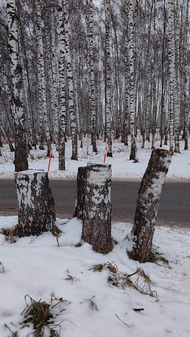 выездная администиация, жкх, благоустройство, снег, тротуар,