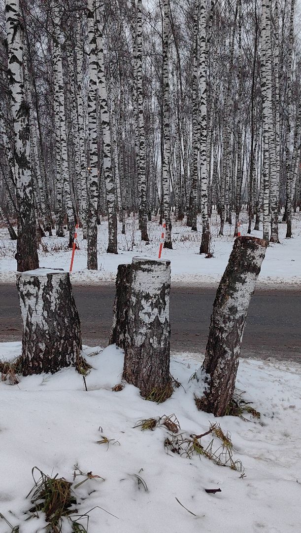 выездная администиация, жкх, благоустройство, снег, тротуар,