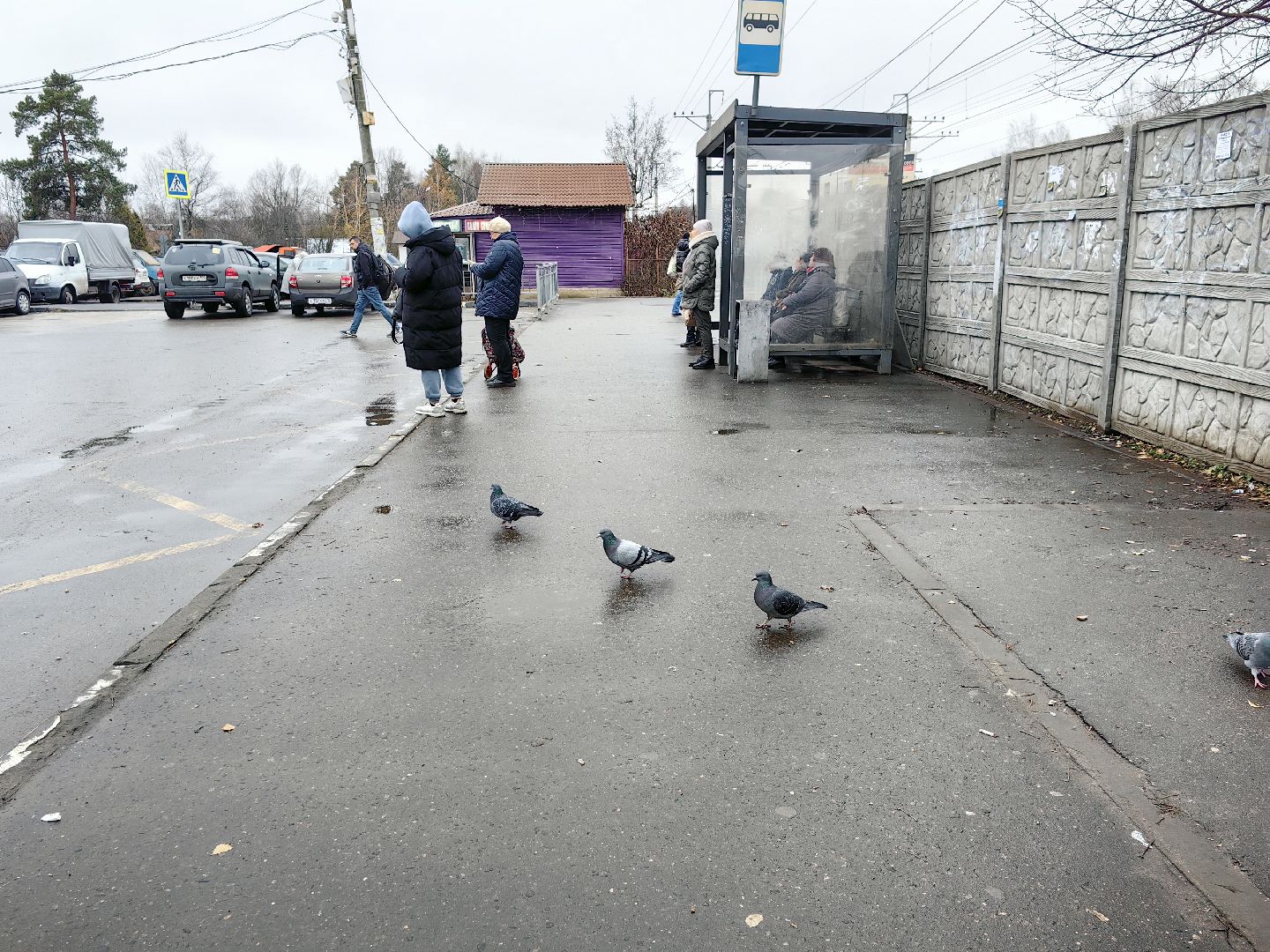 купель, крещение, автобус, транспорт, рейсы, маршрут,