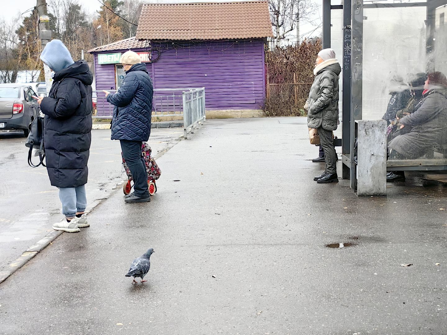 купель, крещение, автобус, транспорт, рейсы, маршрут,