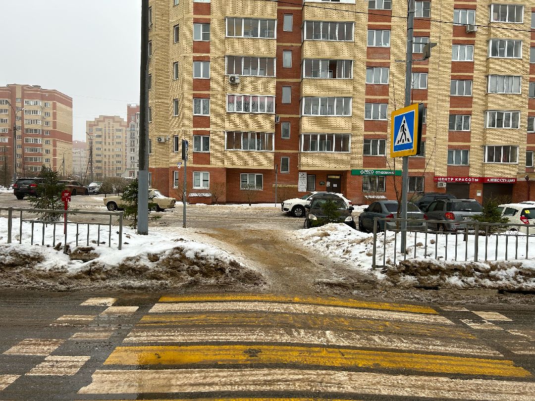 Фрязино, общество