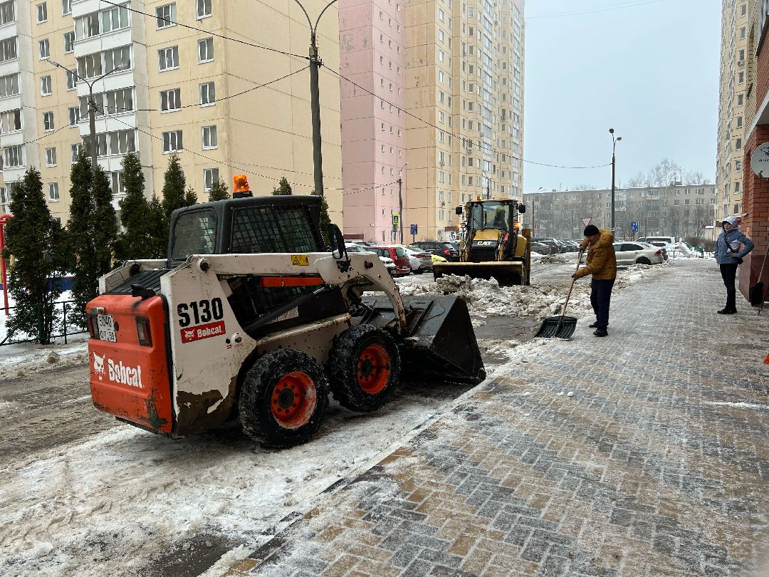 Фрязино, общество