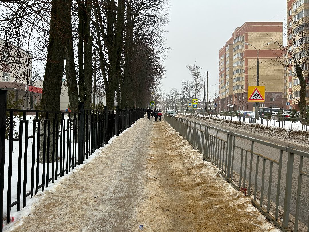 Фрязино, общество