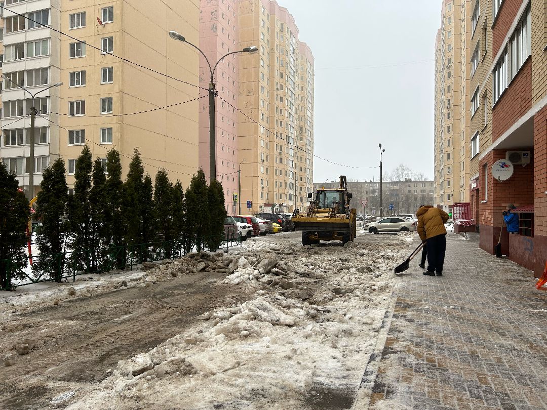 Фрязино, общество