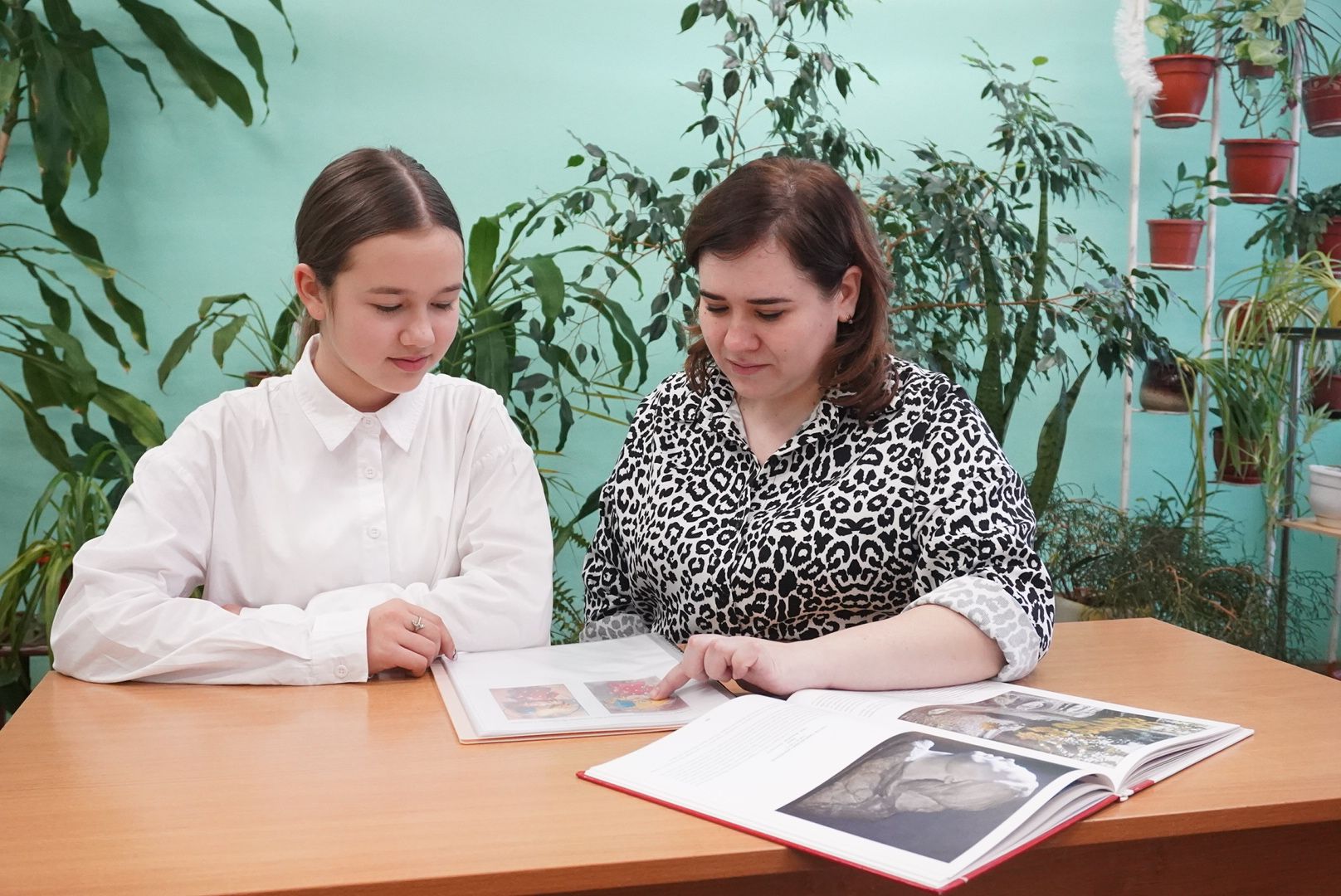 вертикалки,