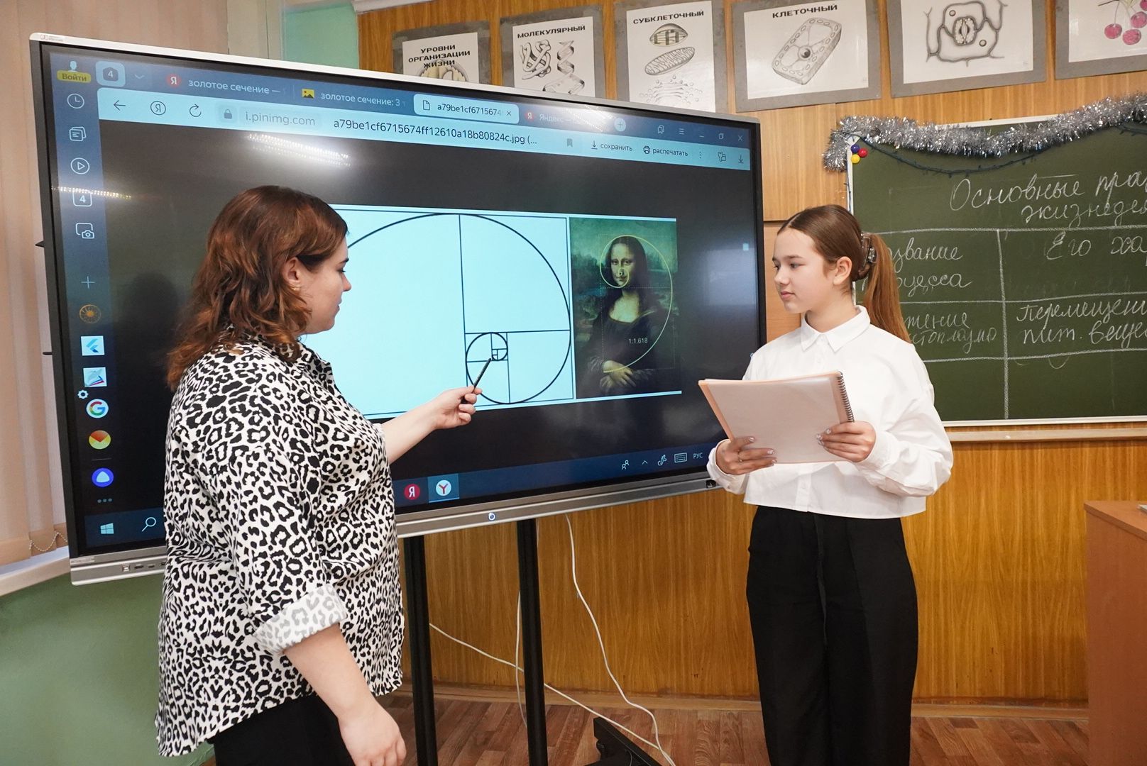 вертикалки,