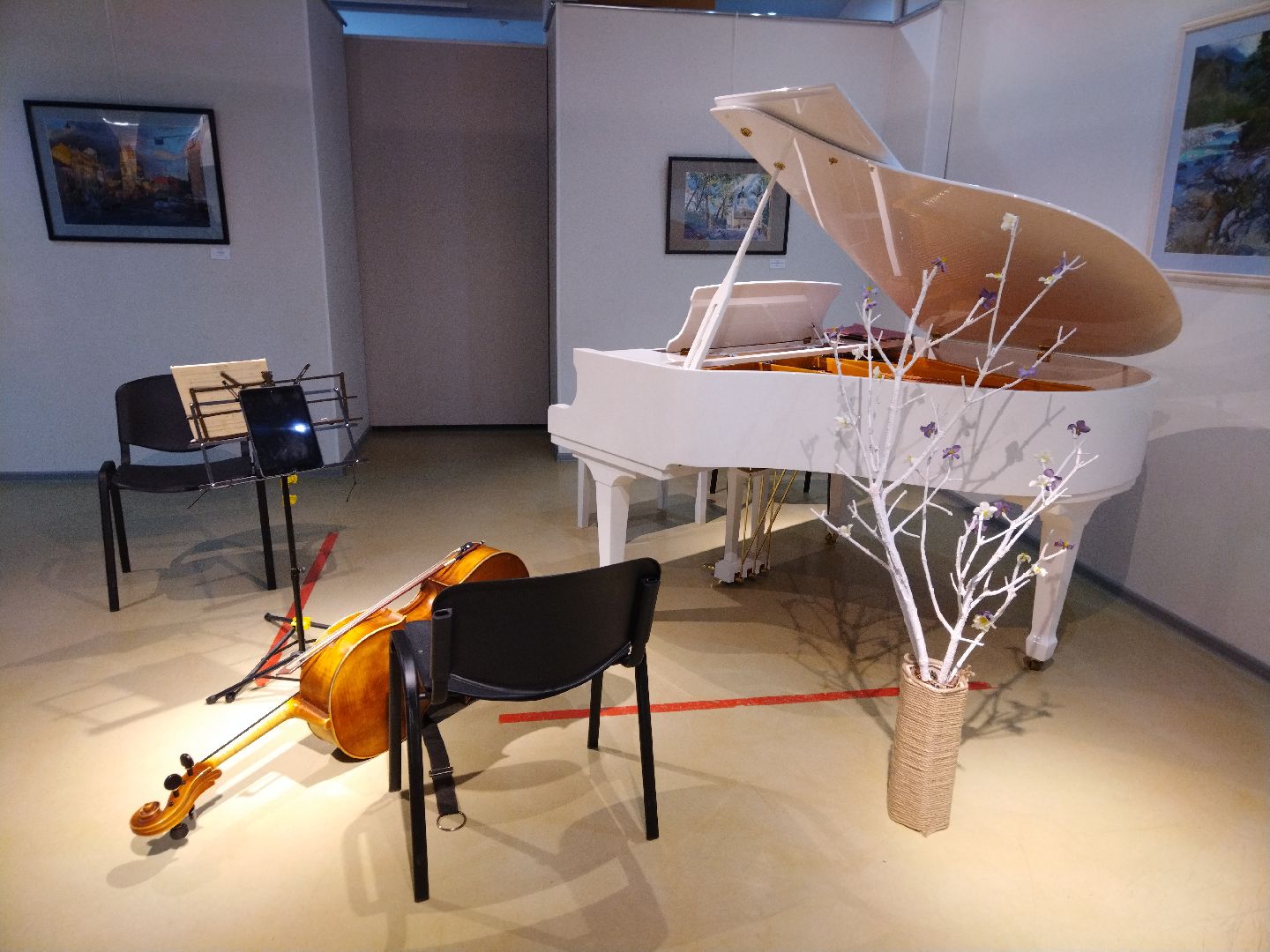 Бетховен, Консерватория, Мытищи, культура, концерт,