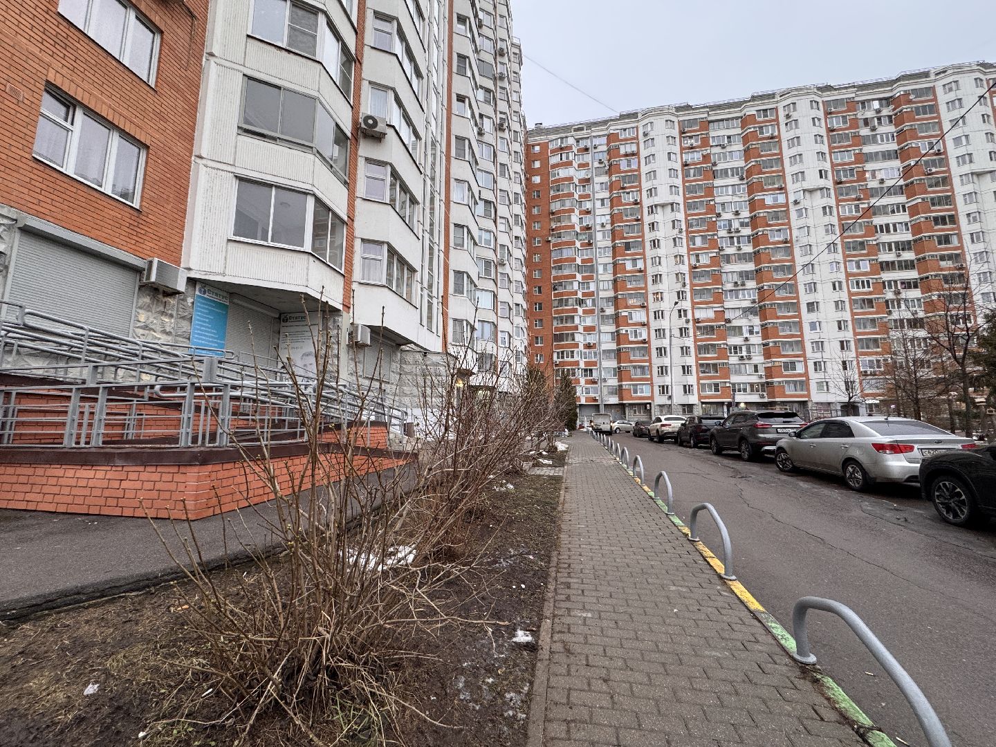 Сирень, Природа проснулась, Экология, вертикалки,