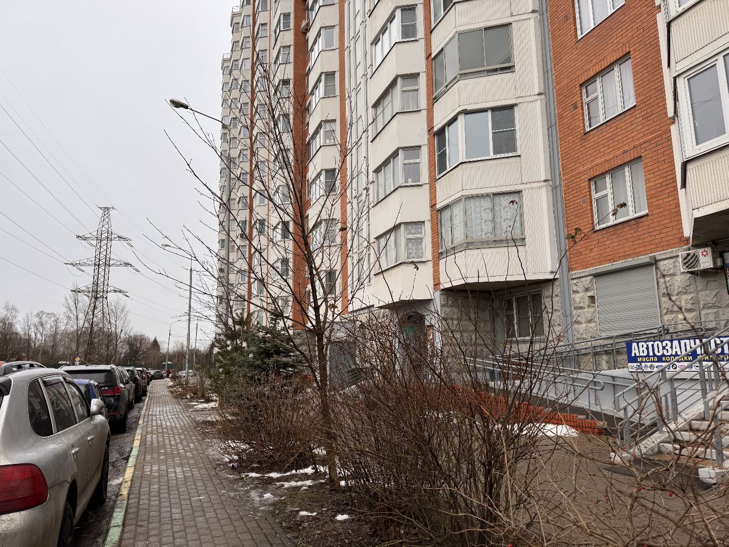 Сирень, Природа проснулась, Экология, вертикалки,