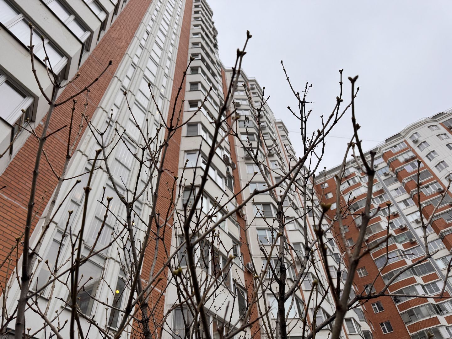 Сирень, Природа проснулась, Экология, вертикалки,