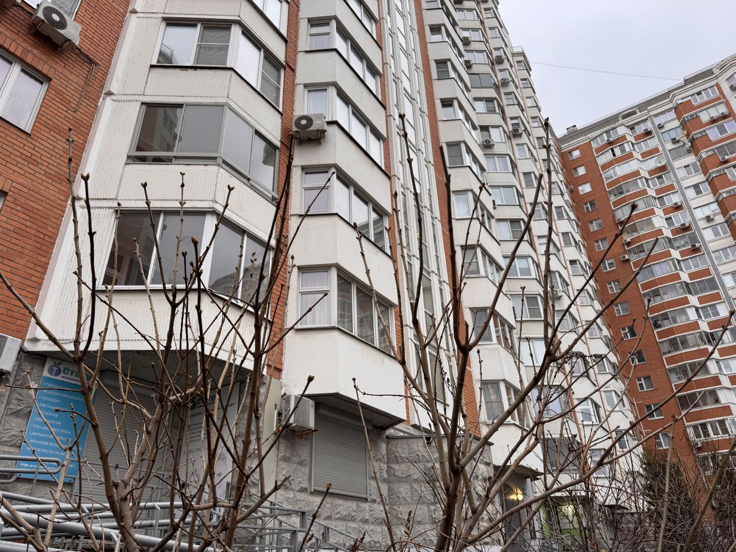 Сирень, Природа проснулась, Экология, вертикалки,