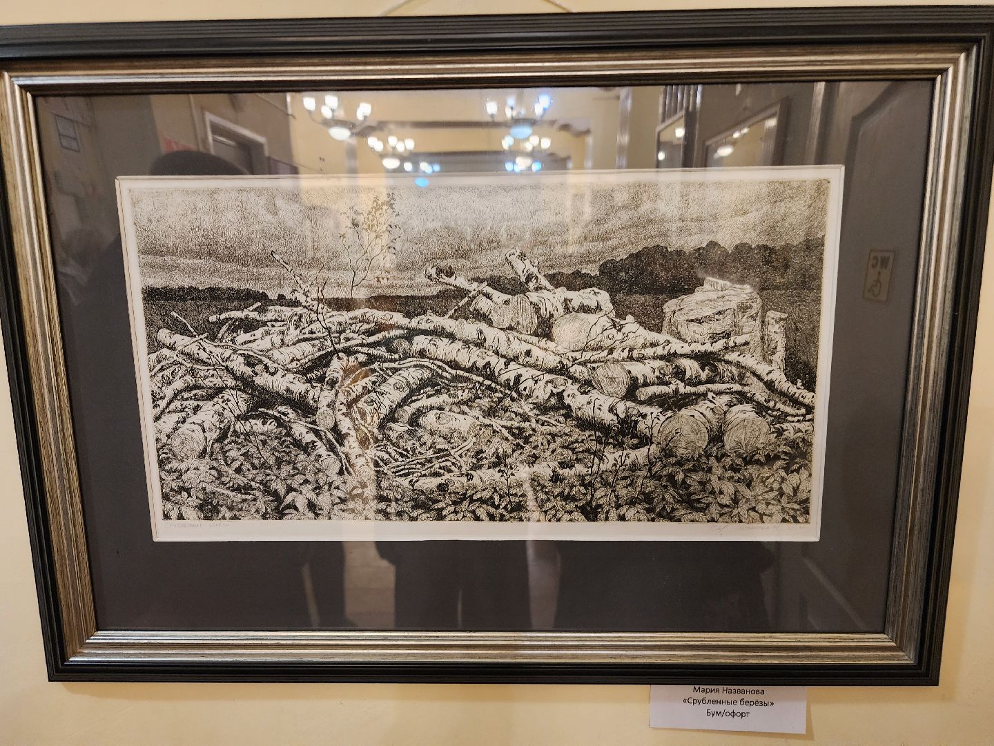 фрязино, художественная выставка, молодые художники, живопись,