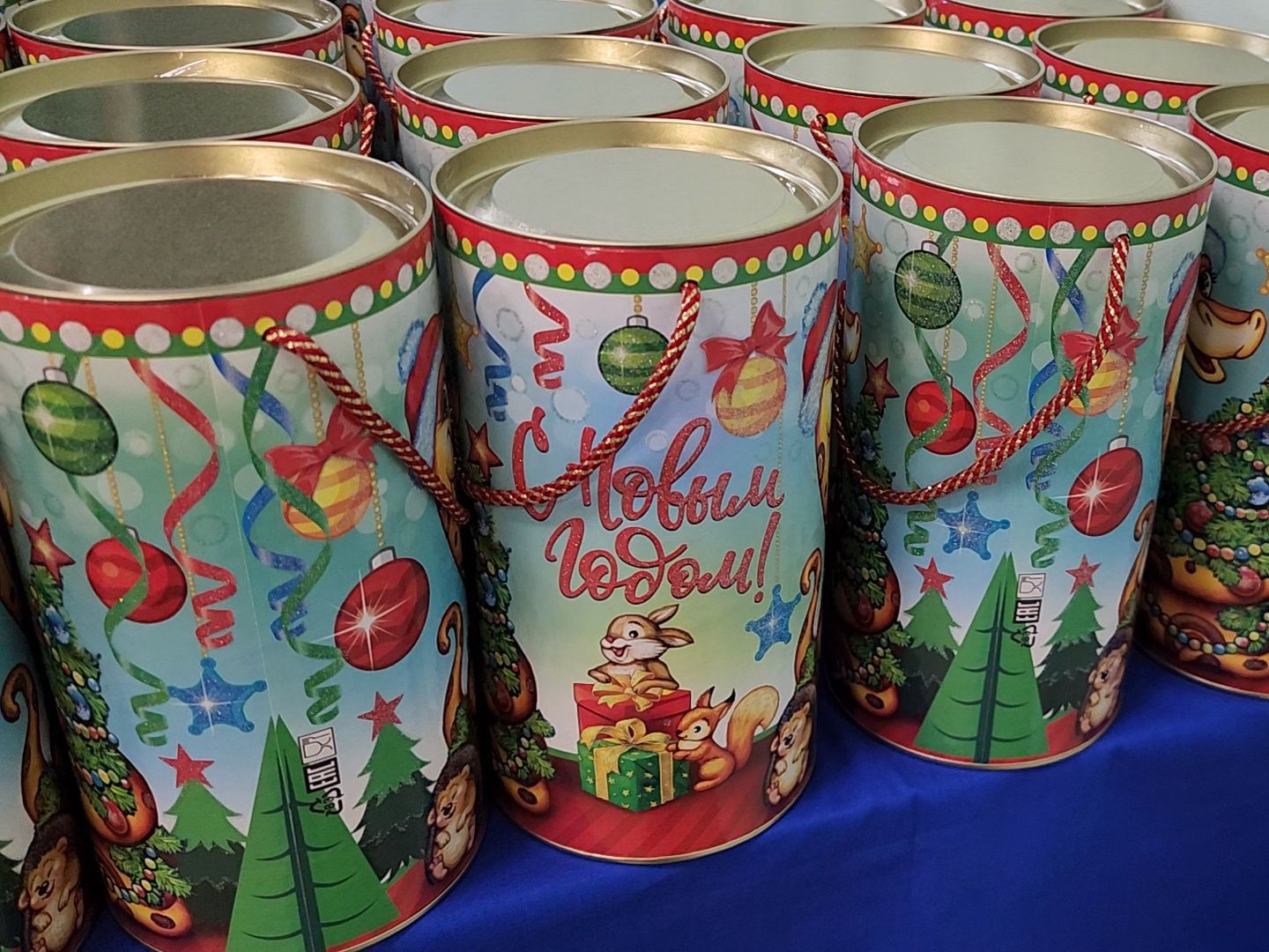 Коломна, Озёры, дети курска, вручение паспортов,