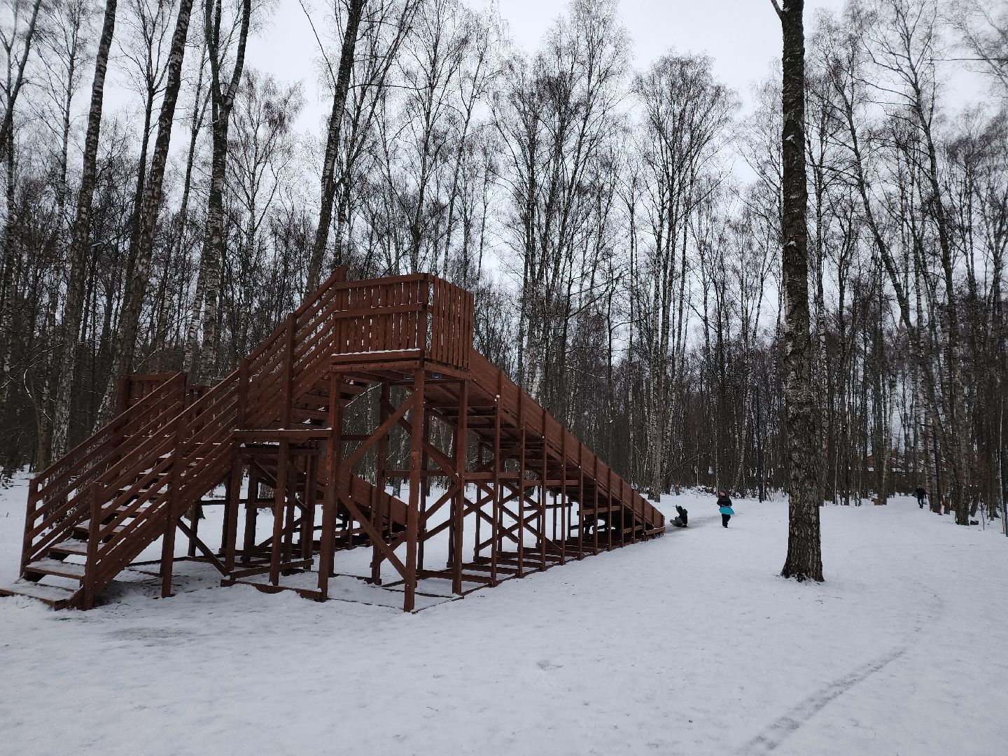 Чехов, микрорайон губернский, лесопарк, парковая зона отдыха, строительство, благоустройство, тюбинговые горки, программа Парки в лесу, губернатор московской области, вертикалки,