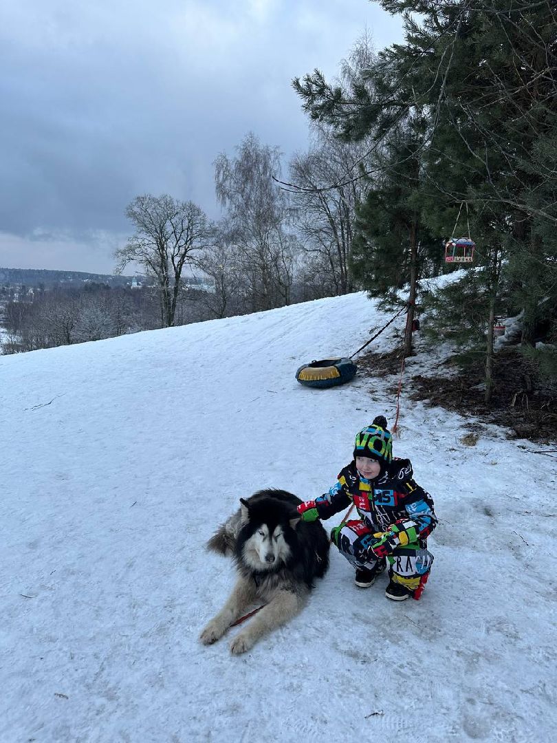 истра, катание на лыжах, спорт,