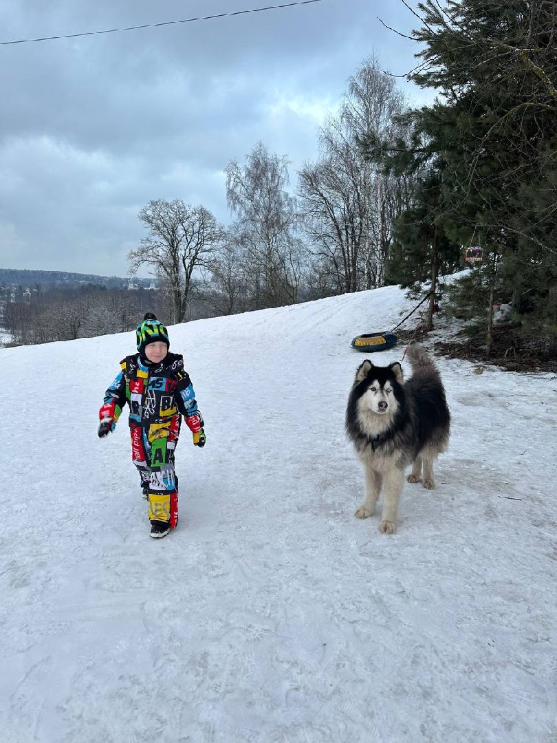 истра, катание на лыжах, спорт,