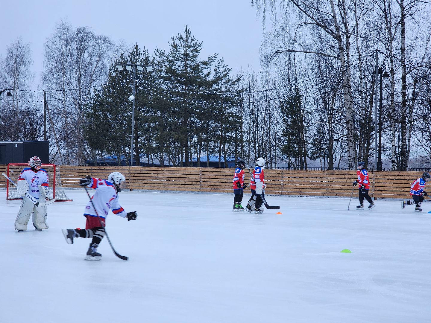 Дубна, Каток, показательные выступления, Спорт, вертикалки,
