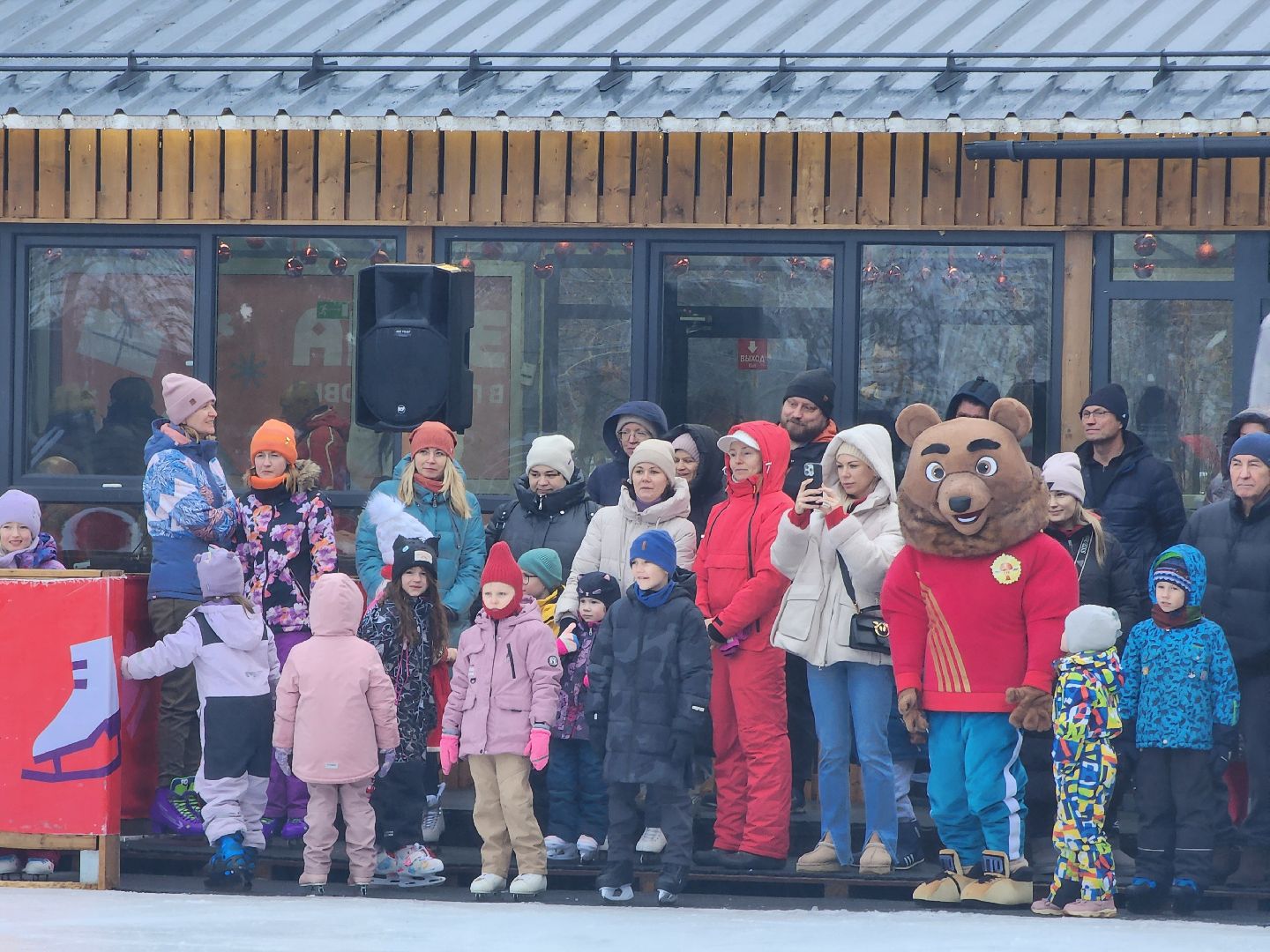 Дубна, Каток, показательные выступления, Спорт, вертикалки,