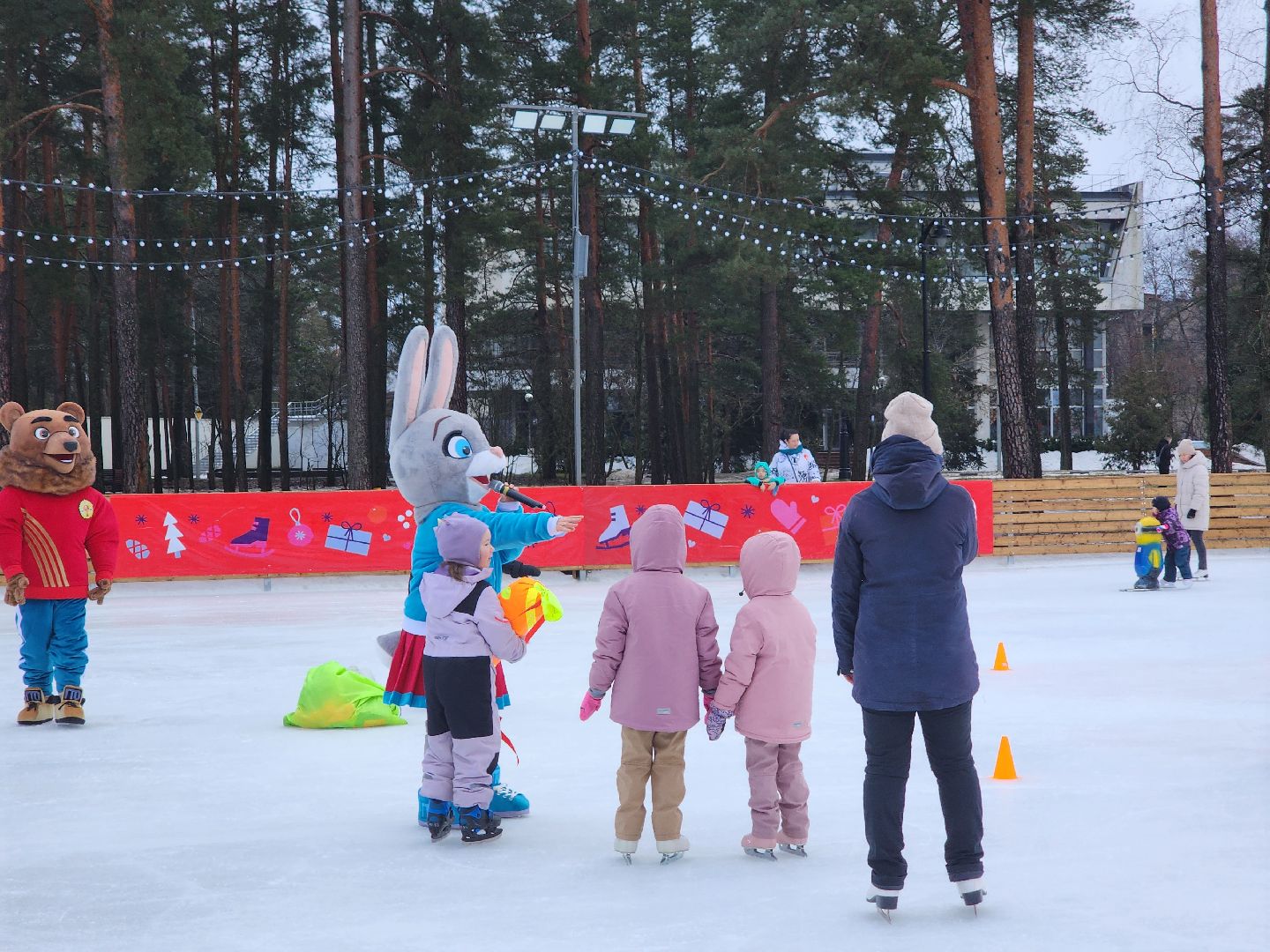 Дубна, Каток, показательные выступления, Спорт, вертикалки,