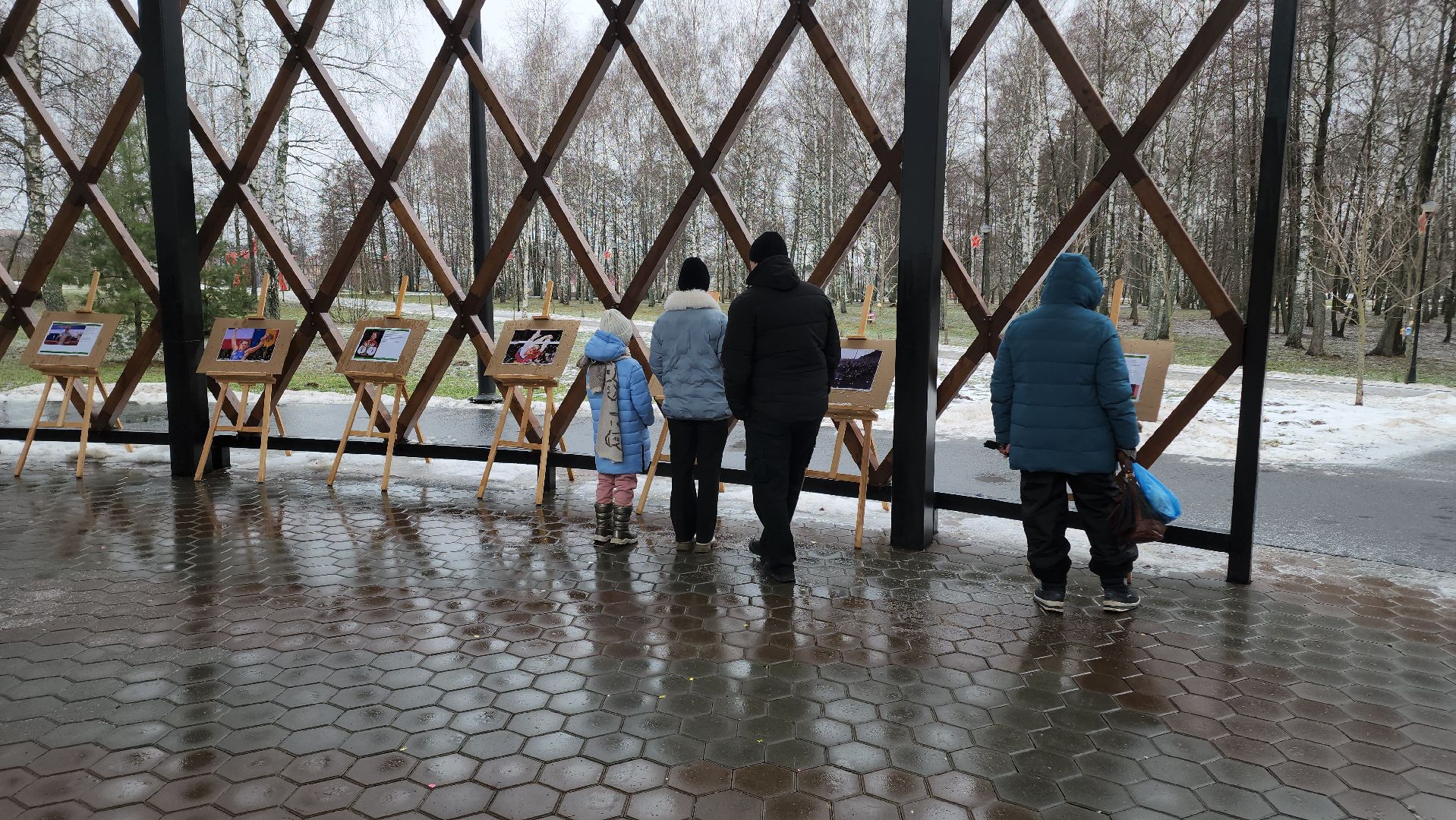 Егорьевск, Подмосковье, Московская область, парк,вертикалки, зима в подмосковье,