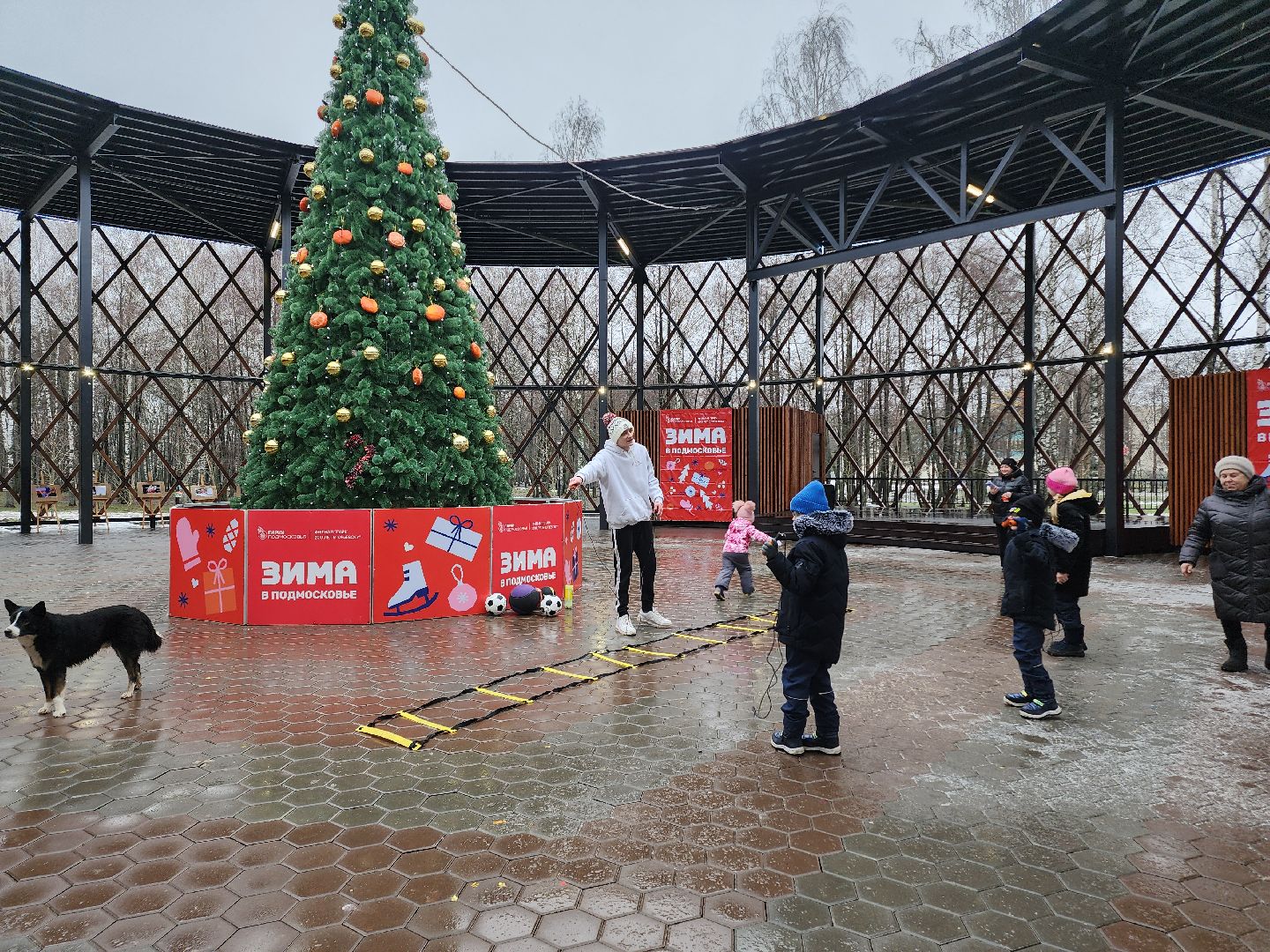 Егорьевск, Подмосковье, Московская область, парк,вертикалки, зима в подмосковье,