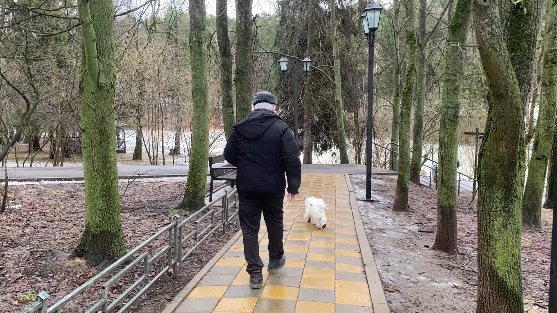 бишон фризе, уход за животными, зима во Власихе, реагенты на дороге, обувь для собак,