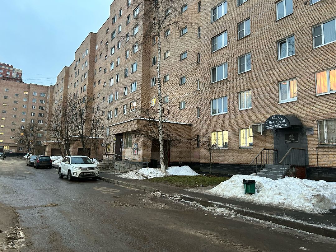 Фрязино, общество