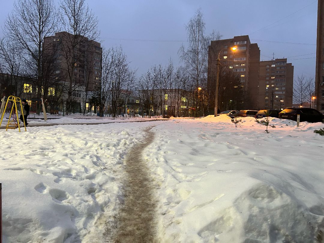 Фрязино, общество