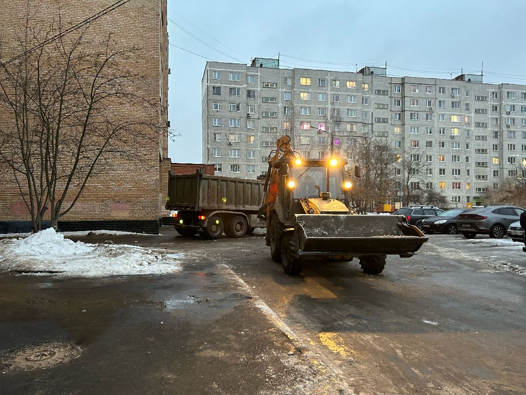 Фрязино, общество