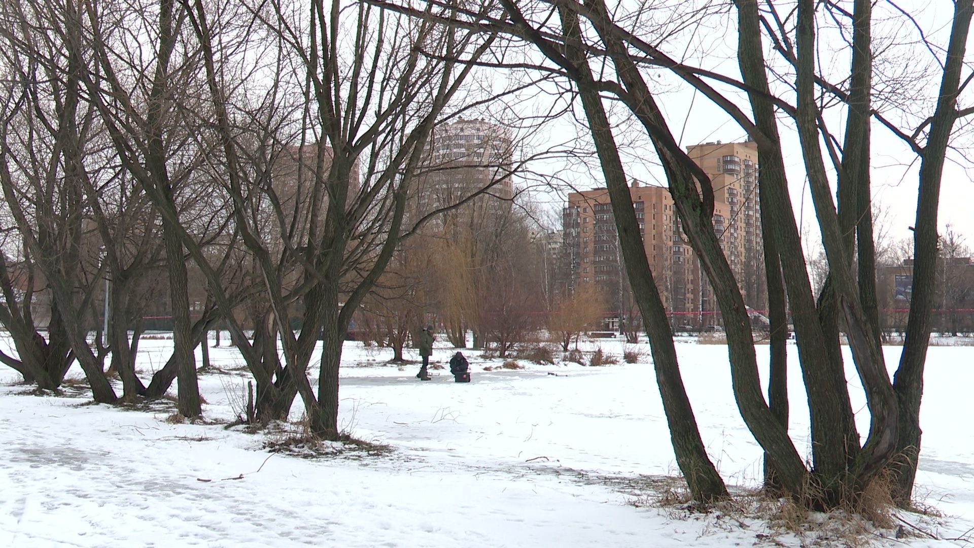 реутов, вертикалки, парк, лед, выход на лед, зимняя жара,