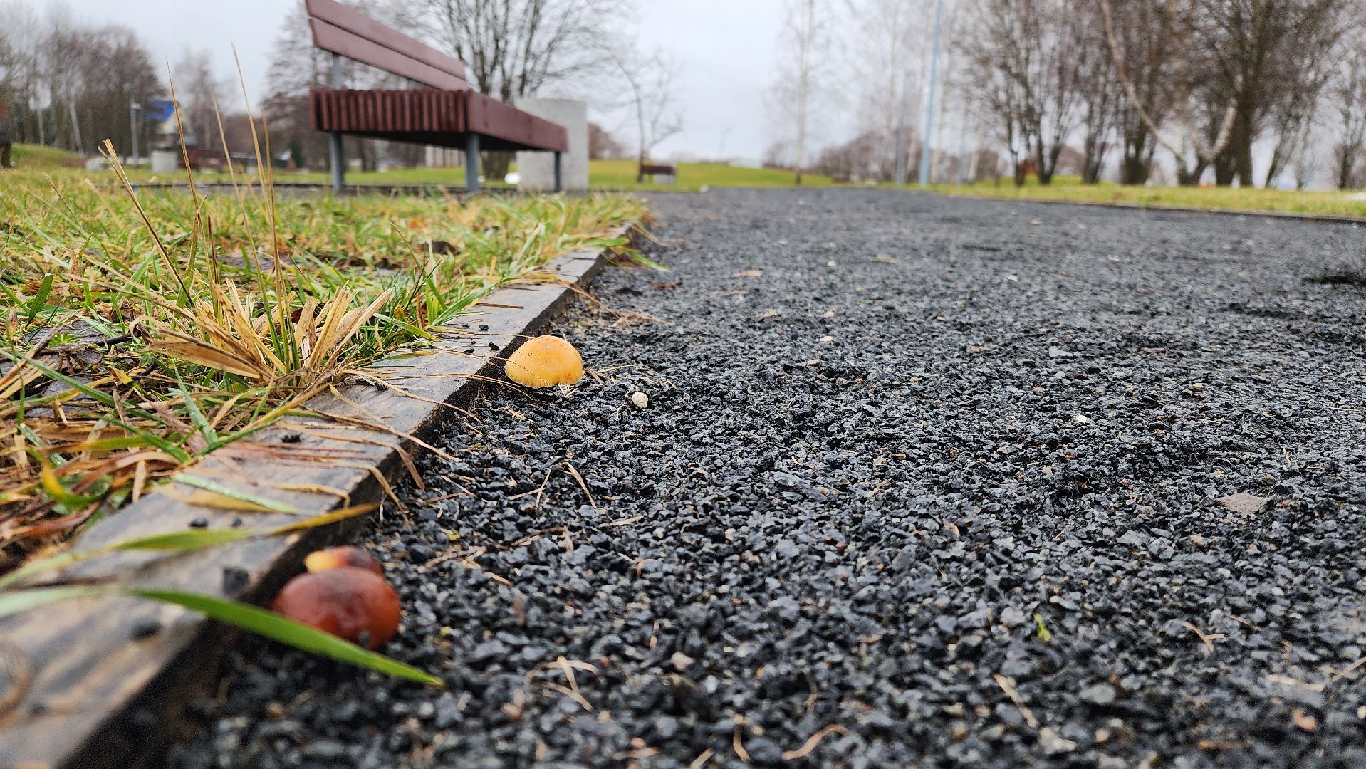 Бронницы, Парк Бронницкий Луг, Мероприятие в парке Бронницкий Луг, вертикалки, Дети,