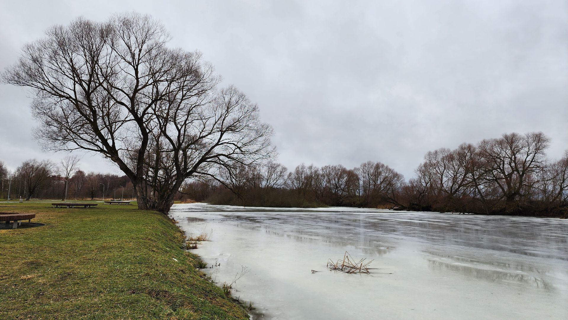 Бронницы, Парк Бронницкий Луг, Мероприятие в парке Бронницкий Луг, вертикалки, Дети,